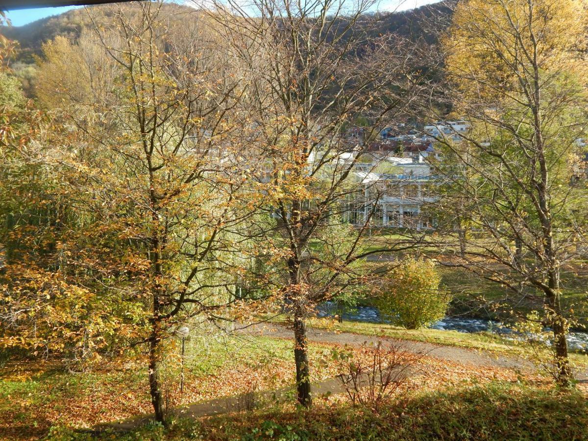 Free Apartment - Bei Den Thermen Bad Urach Extérieur photo
