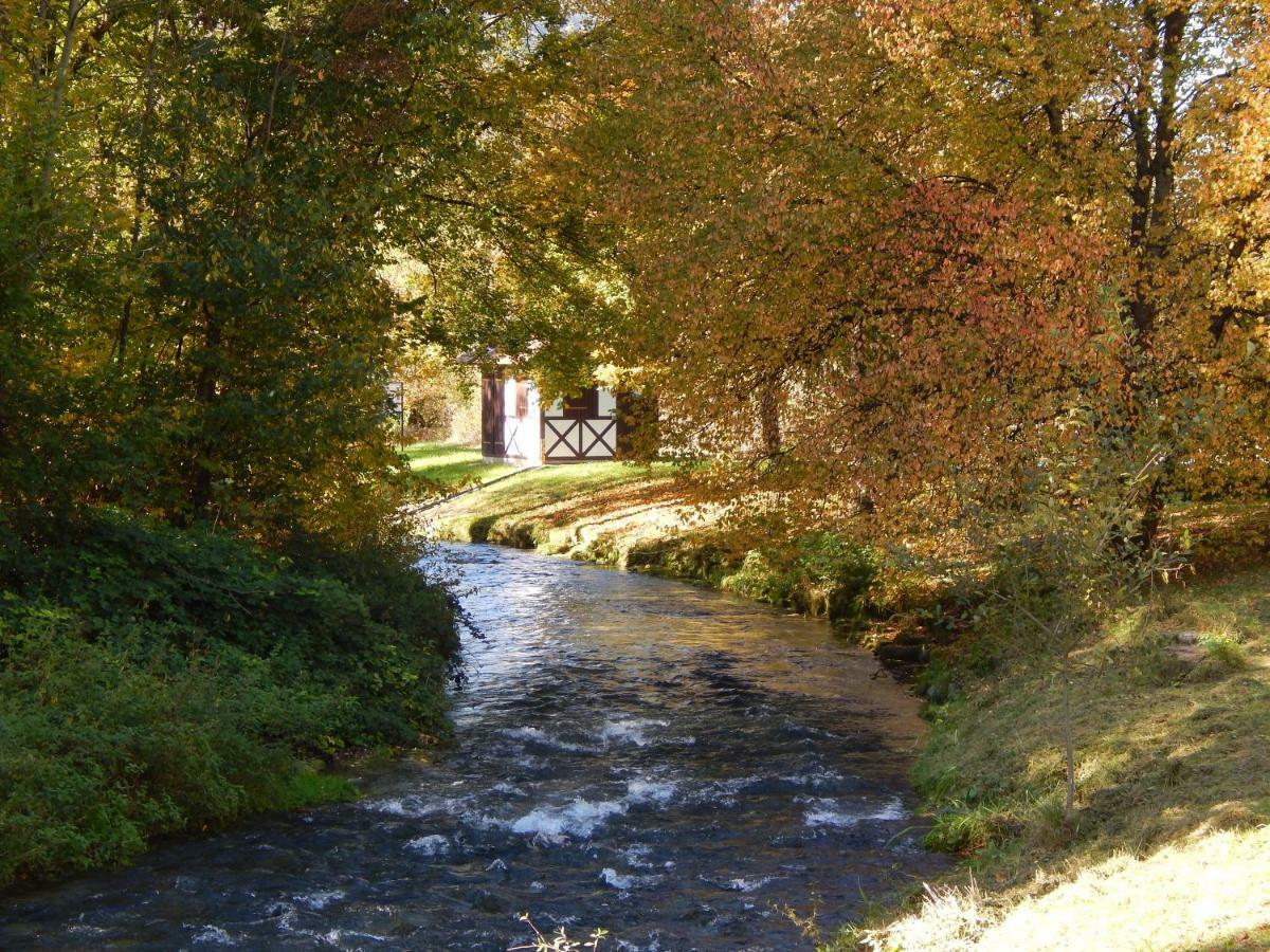 Free Apartment - Bei Den Thermen Bad Urach Extérieur photo