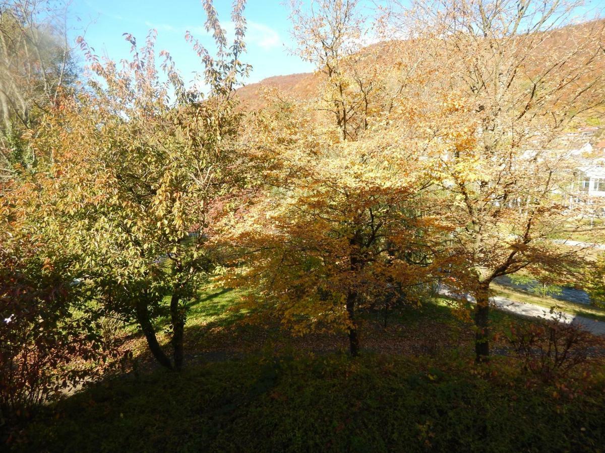 Free Apartment - Bei Den Thermen Bad Urach Extérieur photo